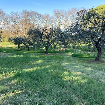 Casal Ponziani Per Civita E Dintorni Villa Bagnoregio Bagian luar foto